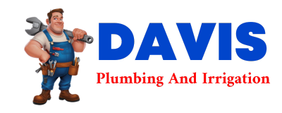 Trusted plumber in CLEAR